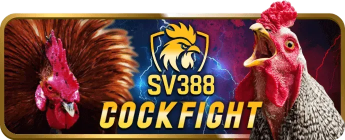 Cập nhật nền tảng u888bet link vào